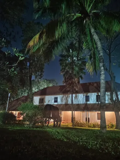 A heritage building illuminated at night, with palm trees silhouetted against the dark sky. The peaceful ambiance of Ayurvedagram continues long after the sun has set.