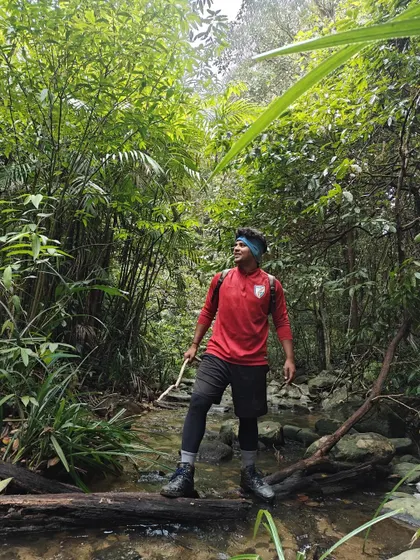 A trekker stands on a log crossing a stream in the jungle. This highlights the varied and exciting terrain you will encounter on our trips.