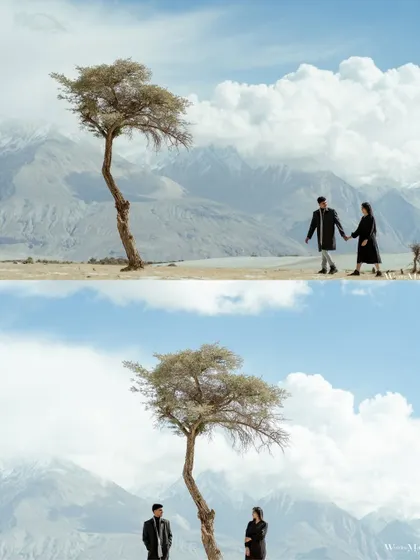 A stunning wide shot in Ladakh, where a lone tree stands against the vast mountains. This image creates a powerful, symbolic portrait of the couple's unique journey.