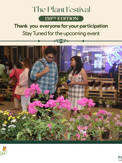 The festival buzz continues into the evening, creating a magical atmosphere as visitors browse the beautifully lit stalls and plant displays.