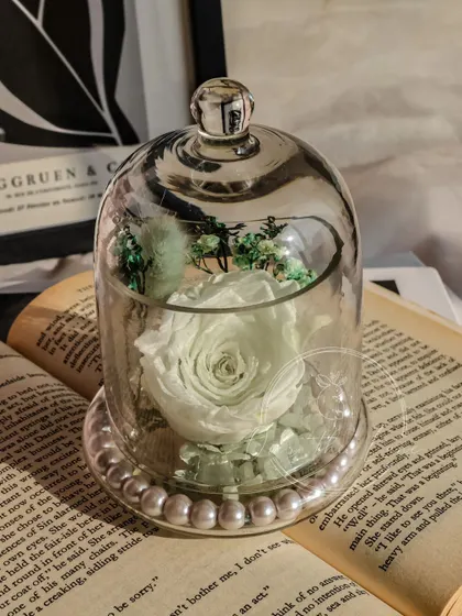 A close-up of the white Eternal Rose, a timeless and elegant gift.