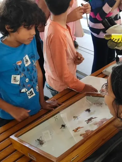 A collection of moments from our various hands-on science activities, showing children deeply engaged in learning through doing.