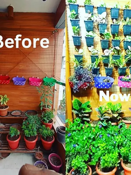 A balcony doesn't need to be bare. I transformed this space by installing a vertical garden system for the client's existing plants and adding many more, turning a simple wall into a dense, beautiful, and productive living garden.
