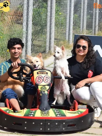 Go-karting with your dogs? Why not. At my Pet Brunch event, we made sure there were fun and unique photo opportunities for everyone to enjoy.
