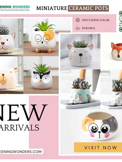 Our collection of miniature ceramic pots is perfect for adding a touch of personality. This selection of cute, animal-themed planters is a popular choice for personal gifts and party favors.
