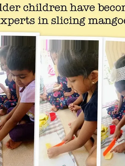 A collage of moments from our mango-themed cooking sessions, where children learned to peel, slice, and prepare delicious mango treats like milkshakes and cheesecake.