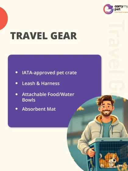 Part of the checklist: Travel Gear. An IATA-approved pet crate, leash, harness, and attachable food and water bowls are non-negotiable.