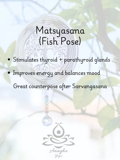 Matsyasana (Fish Pose) is often practiced after Shoulder Stand to stimulate the thyroid and parathyroid glands, improving energy and balancing mood.