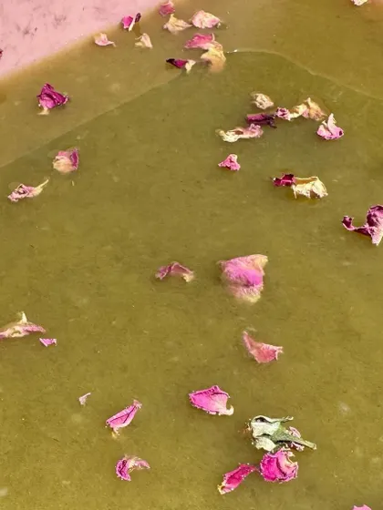 A closer view of the pulp with rose petals. The process of creating something new from waste materials is a core part of my sustainable art practice.