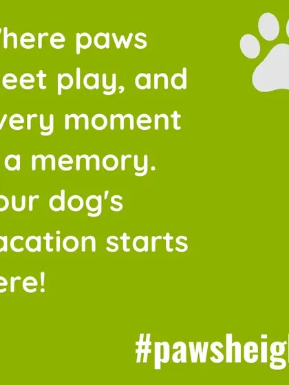 This is my promise for your pet's boarding experience. At Pawsheight, it's all about creating a fun, safe, and memorable vacation for your dog.