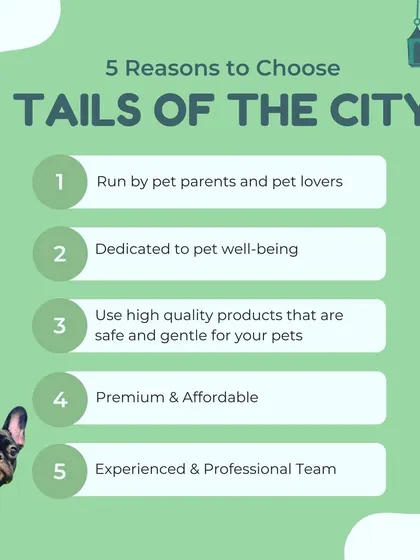 Here are five simple reasons why we think you and your pet will love it here. We are pet parents ourselves, dedicated to providing a premium, safe, and affordable grooming experience with our professional team.
