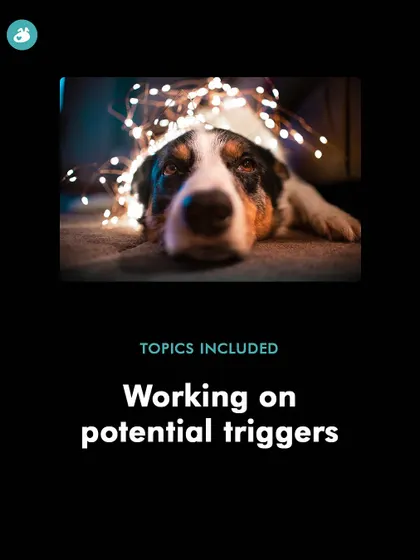 A key part of managing holiday stress for your dog is working on potential triggers before they become a problem. This graphic highlights one of the topics covered in my Diwali preparedness workshop, focusing on proactive training.