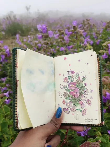 A watercolor sketch of the Neelakurinji flowers, painted on-site in the misty hills of Mullayanagiri. This sketchbook entry is a permanent memory of a flower that blooms only once in 12 years.
