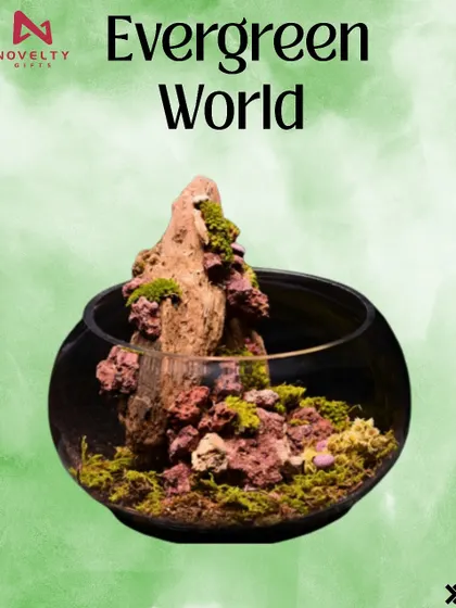The 'Evergreen World' terrarium. This spherical glass bowl holds a stunning miniature world with a unique rock and moss formation.