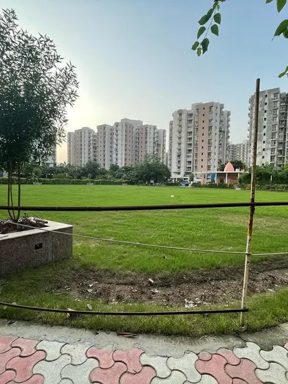 A wide view of a newly installed lawn for a community park. The space is designed to be open and versatile for residents, bordered by a clean, paved walkway and newly planted trees in stone planters.