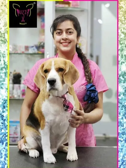 Scooby the Beagle is looking good and feeling fresh. Regular grooming keeps his coat shiny and his nails at a healthy length.