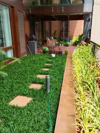 A perfect example of a clean, modern garden path. We installed lush Mexican grass alongside stone pavers, creating a functional and beautiful walkway that complements the home's architecture. The bordering plants add a touch of green texture.