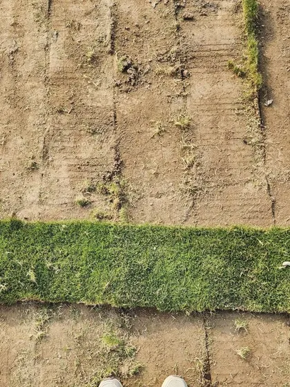 A single strip of our Mexican grass turf, showcasing its quality and readiness for installation.