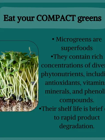 Eat your compact greens. Microgreens are superfoods rich in antioxidants, vitamins, and minerals. They are easy to grow in your own kitchen.