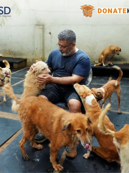 Surrounded by the dogs he has saved, Rakesh Shukla's mission is clear. You can support his work and give a new life to countless abandoned dogs.