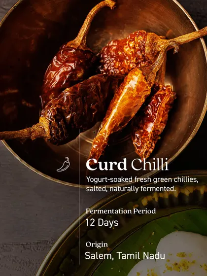 A close-up of the star ingredient: Curd Chilli. These are fresh green chillies soaked in yogurt, salted, and naturally fermented for 12 days in Salem, Tamil Nadu. This process gives them a unique, tangy heat.