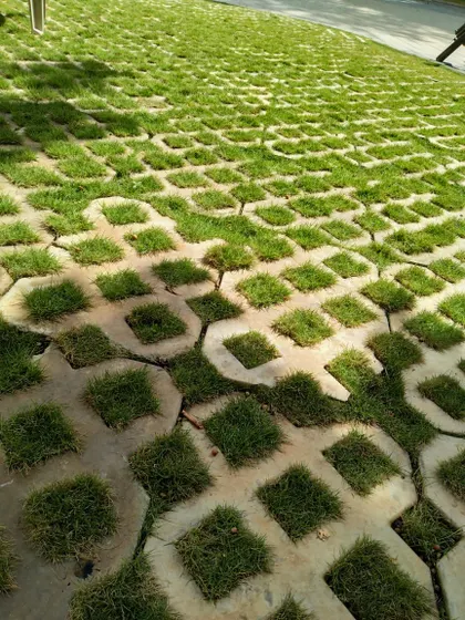 A driveway or path constructed with grass pavers, which are concrete grids allowing grass to grow through. This is an eco-friendly paving solution that aids in water drainage.