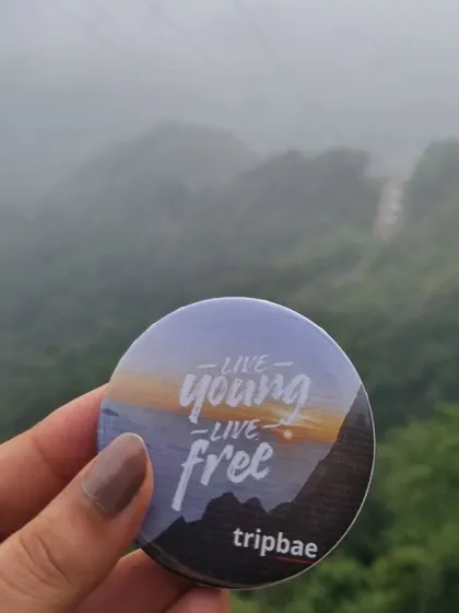 "Live Young, Live Free" - our motto on a Tripbae badge, held up against the misty backdrop of Wayanad.