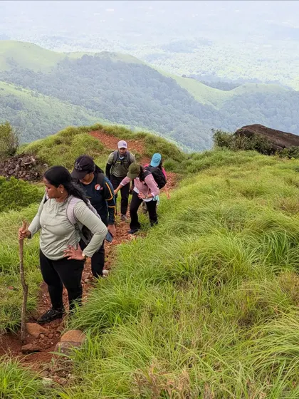 Trekkers making their way up a grassy slope on the Kurinjal trail.