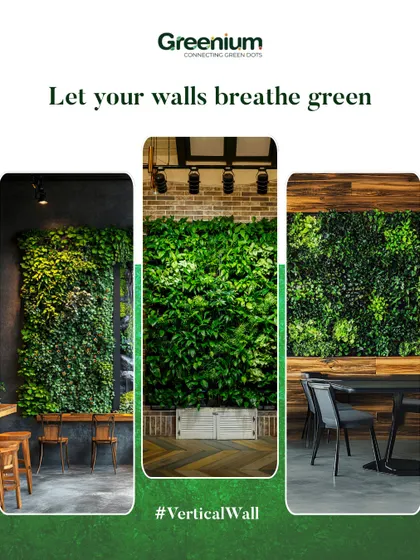 Let your walls breathe green. This collage shows our vertical walls installed in various commercial settings like cafes and restaurants, creating a welcoming and stylish ambiance for customers.