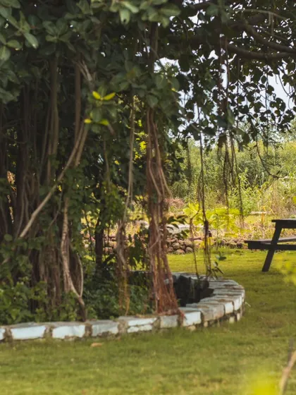 A shady banyan tree and picnic table offer a natural gathering spot on our grounds. It's a perfect place for a team huddle or a quiet break during the day.