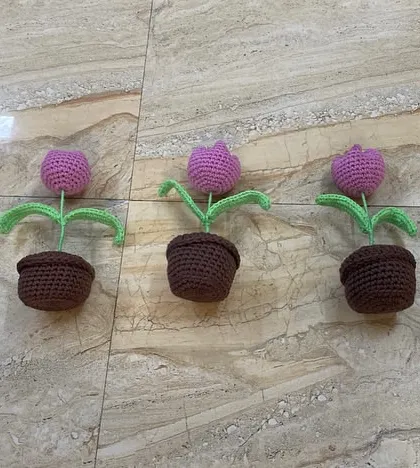 A set of five purple tulip pots with dark brown bases. This colour combination is one of my personal favourites.