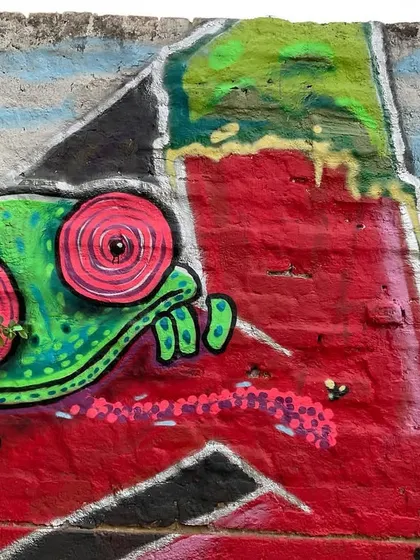 A close-up of the quirky chameleon character I added to the mural, whose eyes are hypnotically swirling.