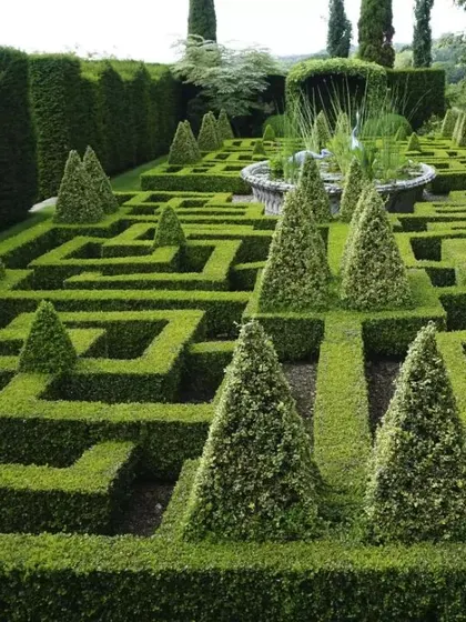 This image illustrates the principles of a formal manicured garden, with its intricate hedge maze, geometric patterns, and sculpted topiary. This style is defined by precision, order, and classical elegance.
