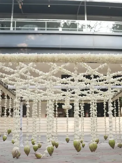 Another view of the jasmine chadar, ready for a traditional and elegant bridal entry.
