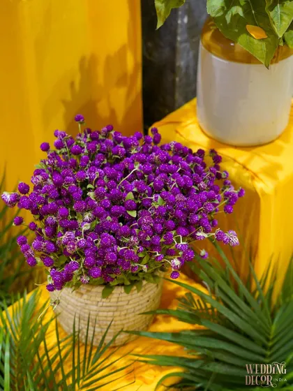 A beautiful bunch of purple Gomphrena flowers in a wicker basket, set against a bright yellow backdrop. This small detail adds texture and a rich jewel tone to the color palette.