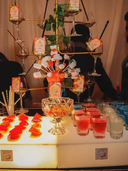 A full view of our colorful shot bar. We offer a variety of shots and garnishes, beautifully arranged to entice guests and get the party started.