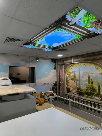 Another view of the MRI room, showing the ceiling mural and the arched window scene.