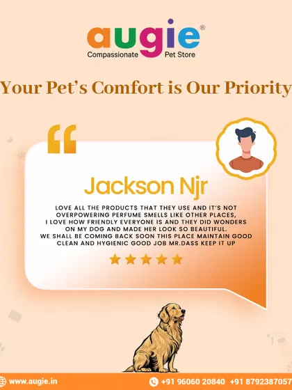 Your pet's comfort is our top priority. Thank you, Jackson, for noticing the gentle, non-overpowering products we use and the friendly, beautiful work our team does. We're so glad you'll be back!