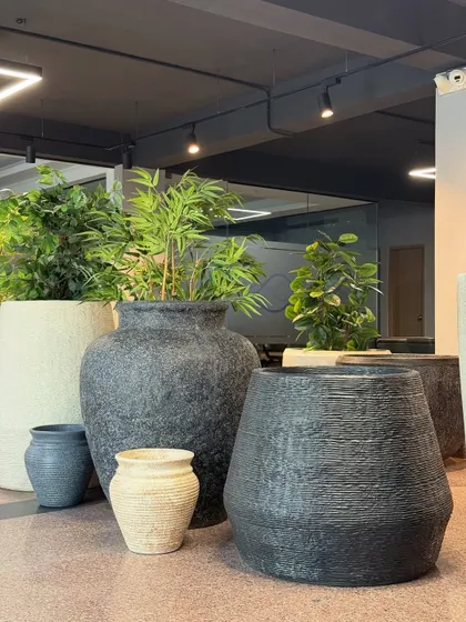 A display of our diverse pot collection, from large, textured black planters to smaller, rustic beige ones. We have something to suit every plant, space, and budget.