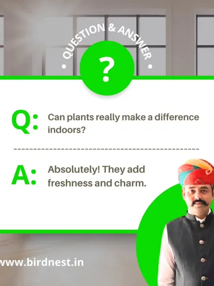 Q&A: Can plants really make a difference indoors? Absolutely. They add freshness, charm, and can even improve air quality.