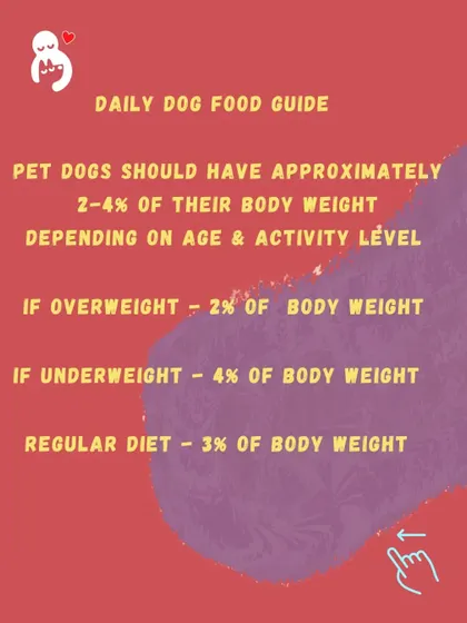 Our daily dog food guide helps you calculate the right amount of food based on your dog's weight and goals, whether it's for weight loss, weight gain, or maintenance.