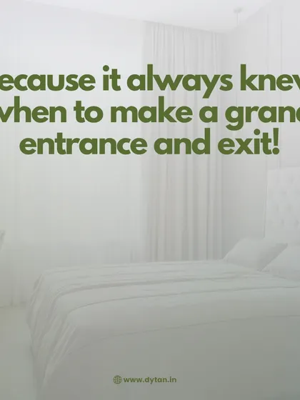 My smart curtain solutions know when to make a grand entrance and exit. They provide the perfect balance of light and privacy, enhancing the elegance of your bedroom.