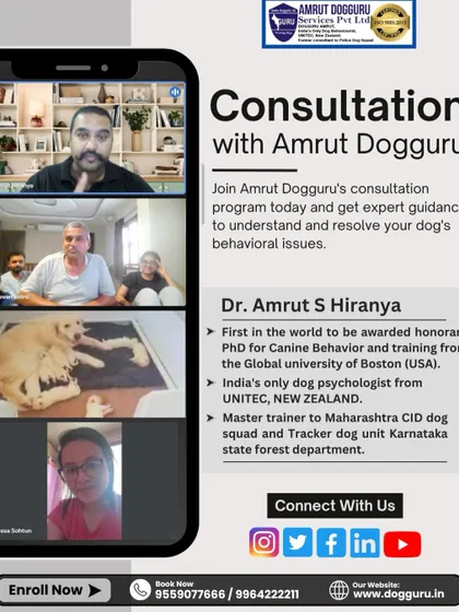 Through online video consultations, I can observe your dog's natural behavior in your home. This allows me to provide tailored advice and training strategies to address your specific challenges, no matter where you are located.
