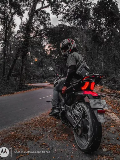 A quiet moment on a forest road, where the only sounds are the rustling leaves and the cooling engine of the bike.