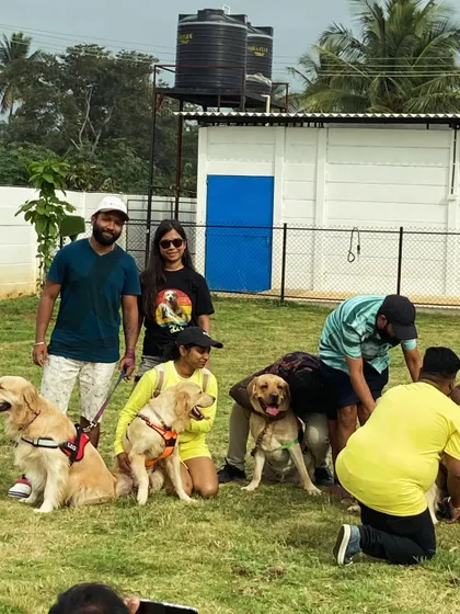 A group photo from Chris the Golden Retriever's birthday bash. Our large green lawns are perfect for hosting big groups of friends, both human and canine.