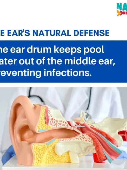 An anatomical illustration showing the ear's natural defense, explaining how the eardrum prevents pool water from causing middle ear infections.