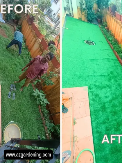 This before and after shot shows the dramatic change from an overgrown, messy yard to a clean, manicured lawn that requires zero mowing.