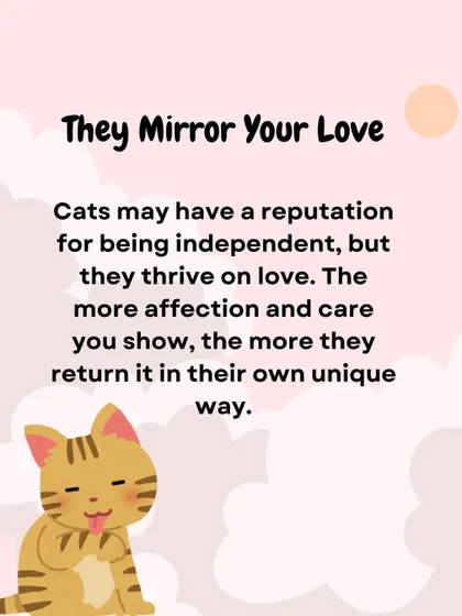 This infographic reminds people that cats thrive on love. The more affection you show, the more they return it in their own unique ways.