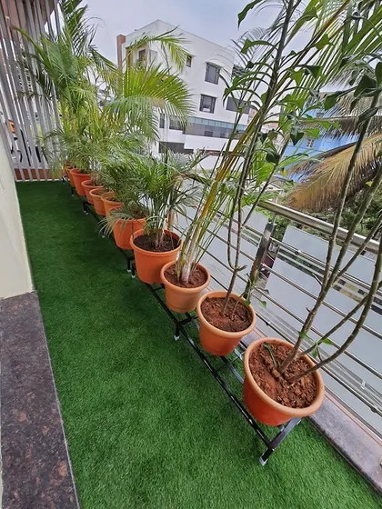 Another angle of the balcony, showing how the stands and planters line the edge, maximizing floor space while creating a lush, green border.
