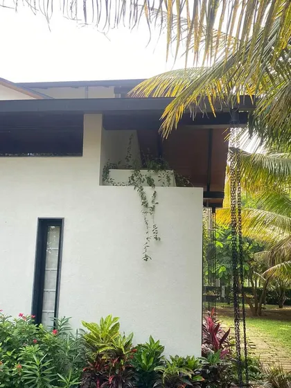 A close-up of the exterior of Grove House, showing the rain chain and creeping vines beginning to grow.